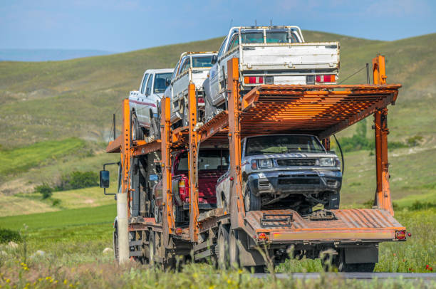 Old cars carried by long vehicle truck